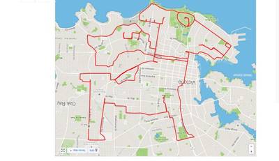 Strava art dog